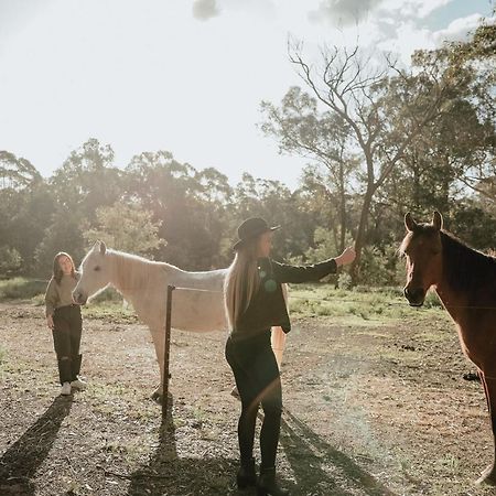 Hunter Valley Retreat Quorrobolong Экстерьер фото