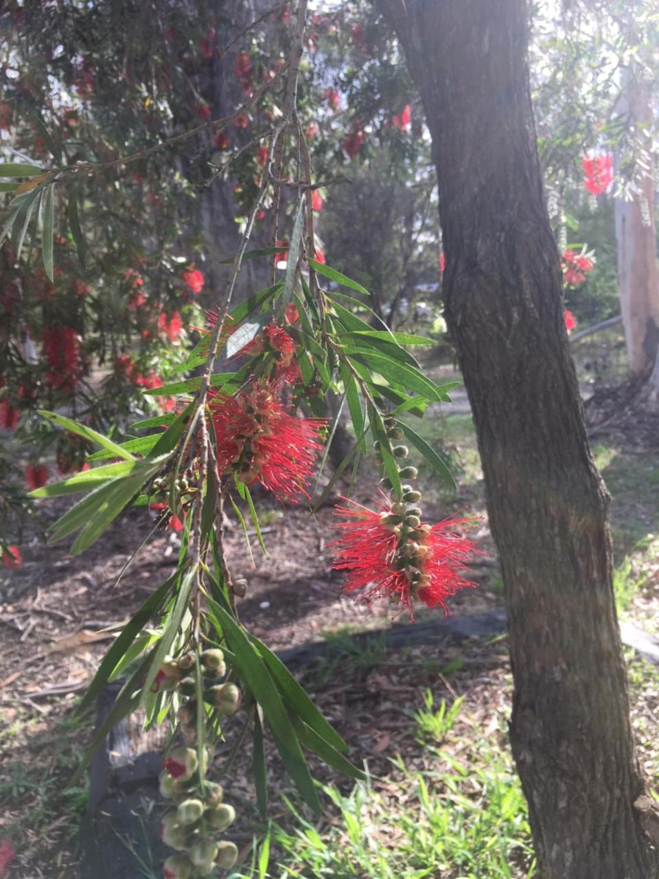 Hunter Valley Retreat Quorrobolong Экстерьер фото