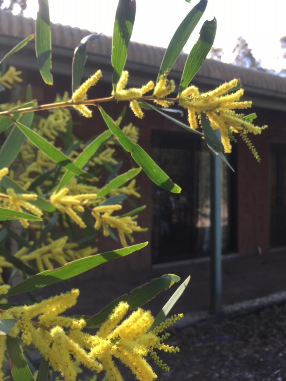 Hunter Valley Retreat Quorrobolong Экстерьер фото